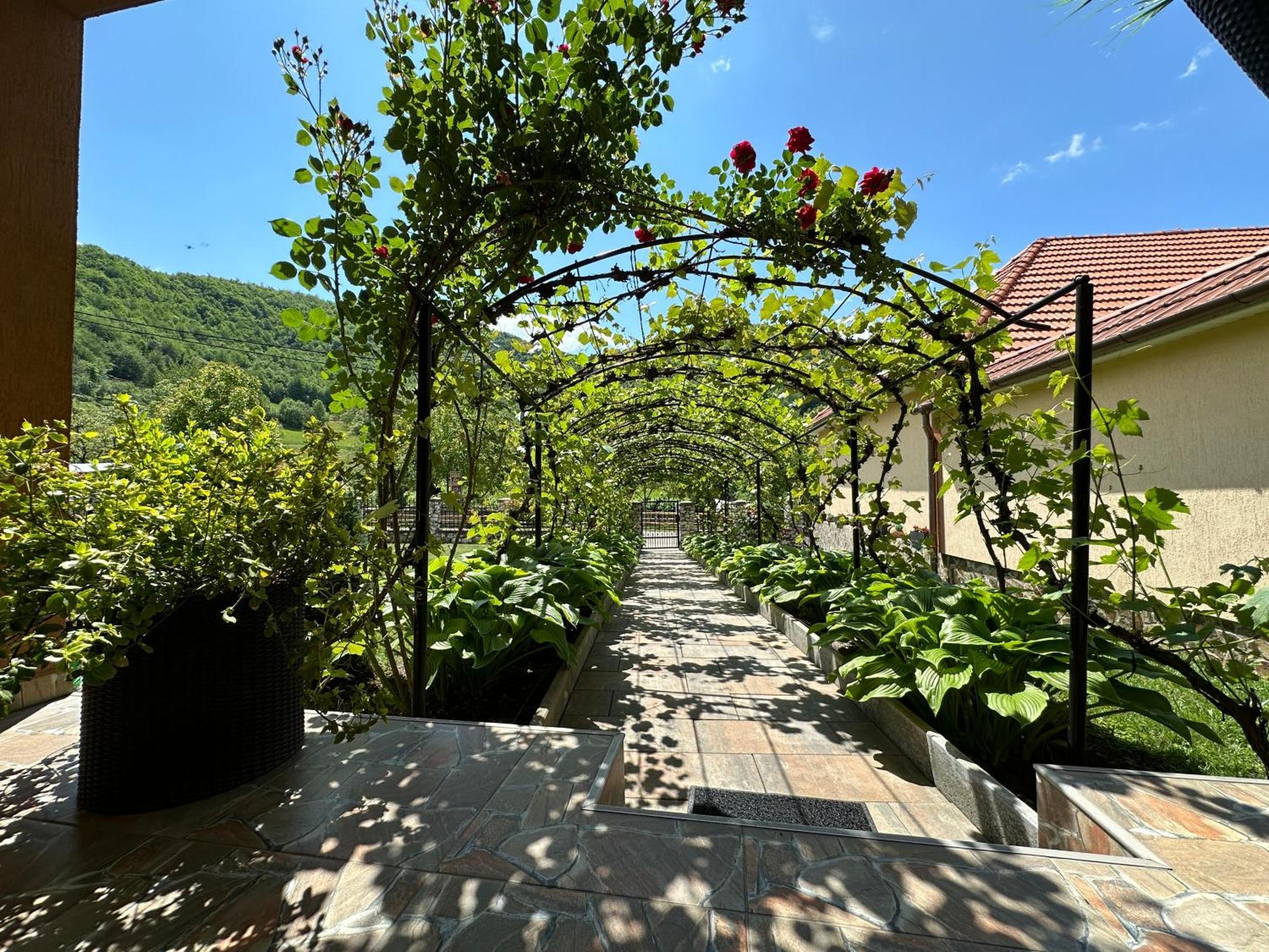 Casa Antonia Hotel Chiscau Eksteriør billede